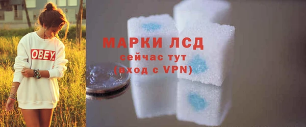 ГАЛЛЮЦИНОГЕННЫЕ ГРИБЫ Инта