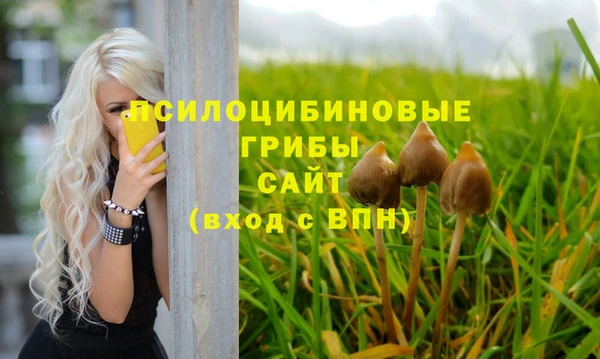 стаф Баксан