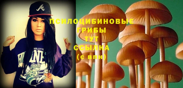 стаф Баксан