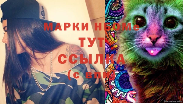 стаф Баксан