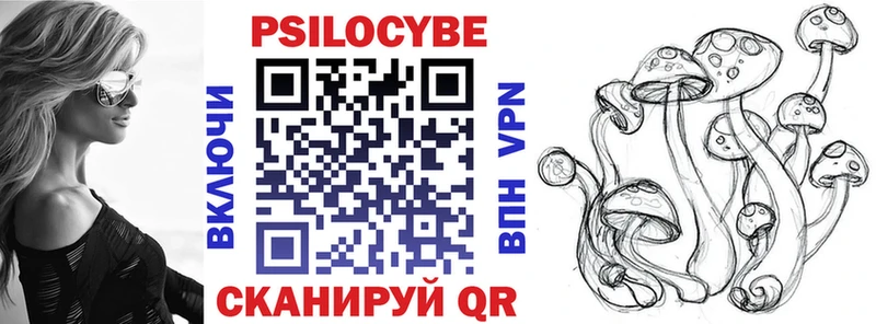 Псилоцибиновые грибы Psilocybe  Карабулак 